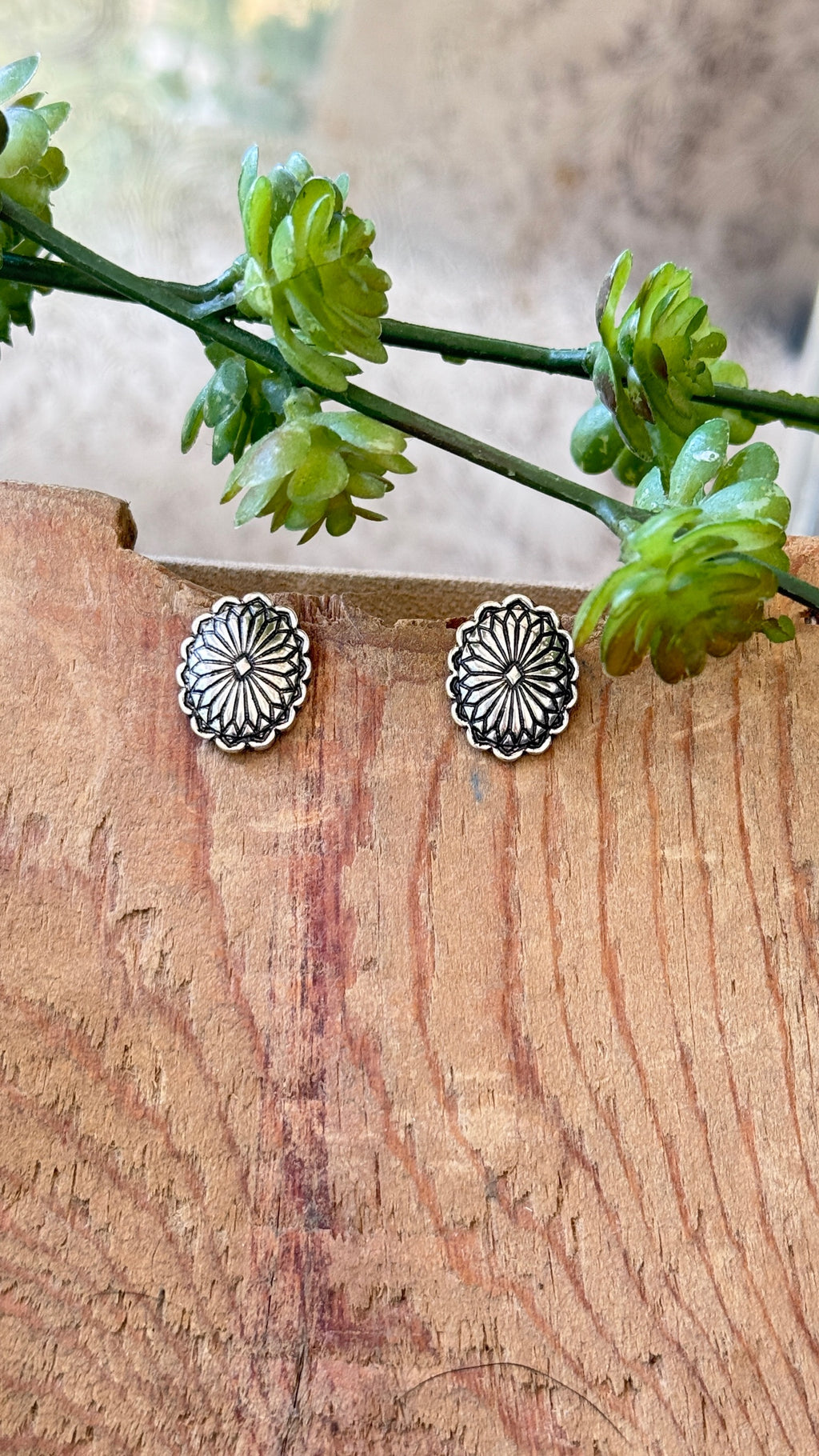 Second Chances earrings