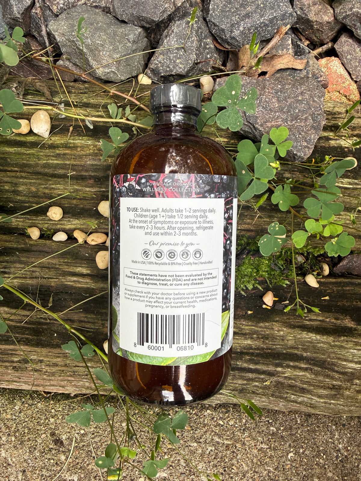 Rowe Casa Elderberry Immune Support | A Little Backup for the Whole House