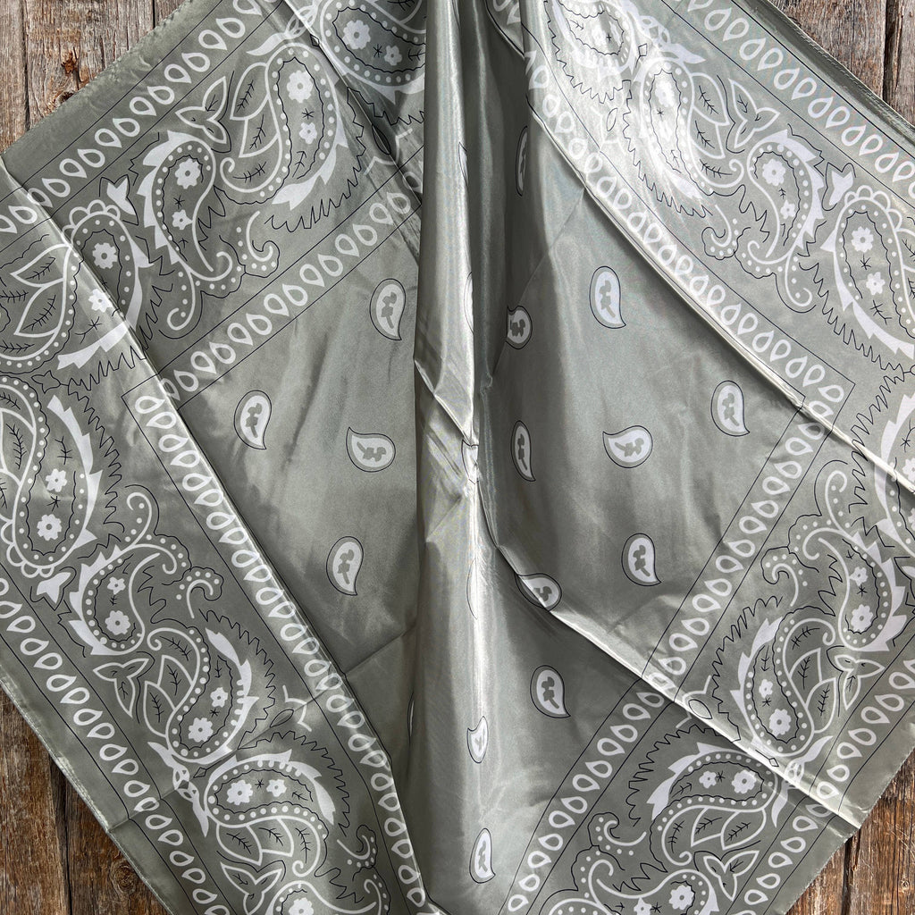 Sage & White Paisley Wild Rag/Scarf