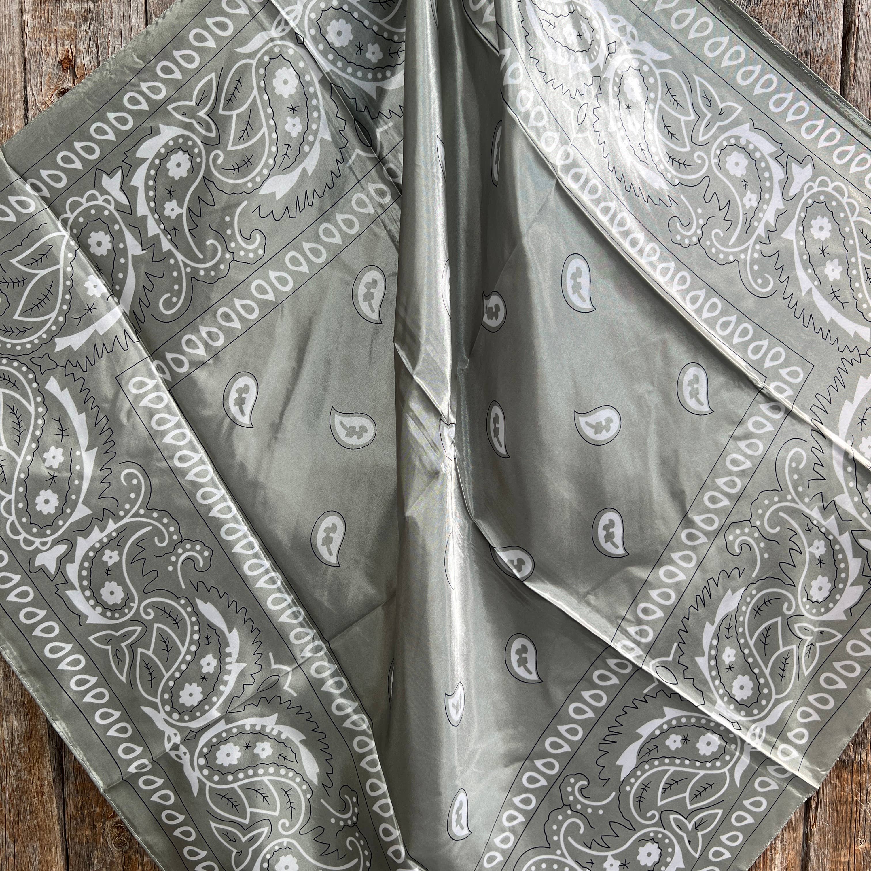 Sage & White Paisley Wild Rag/Scarf
