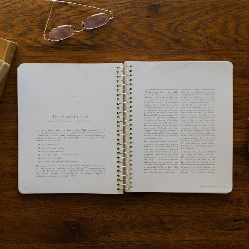 Revelation: The End of Time and the Eternal King - Spiral