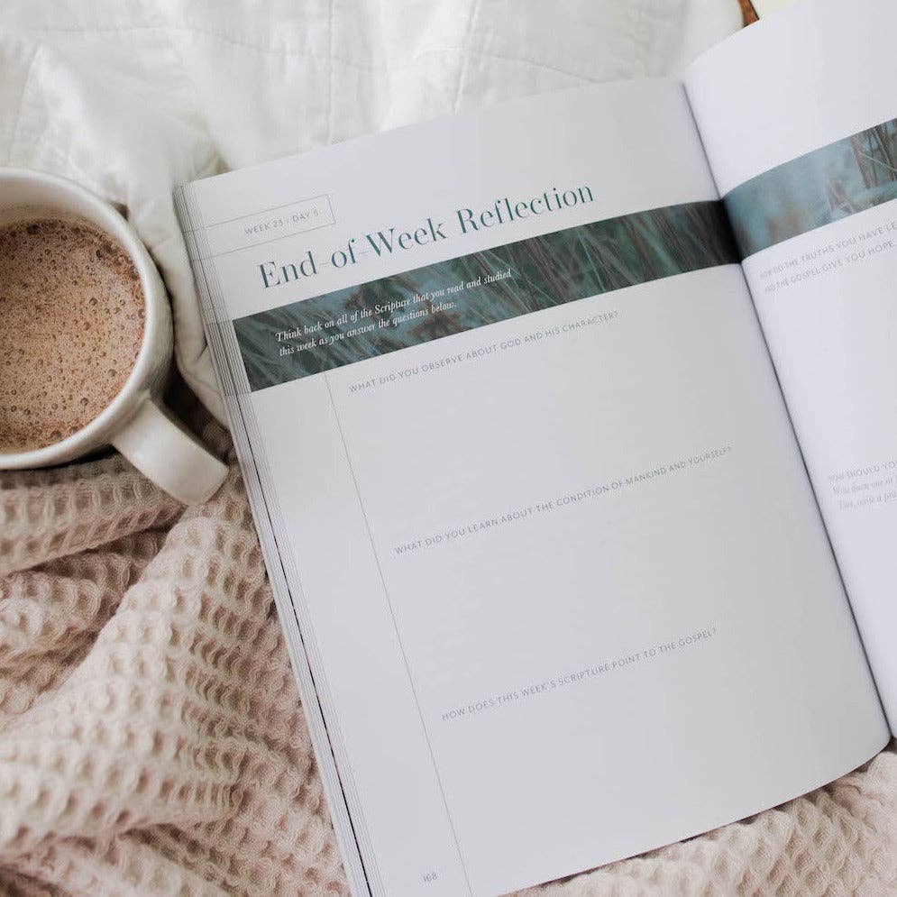 Behold: A Study of the New Testament Volume 2 Women