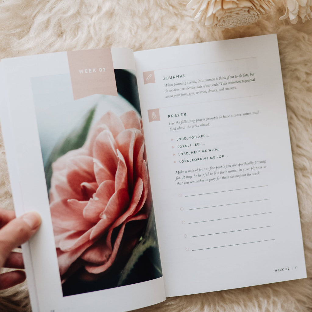 Fix Your Focus - A 52 Week Guide to Help You Put God First