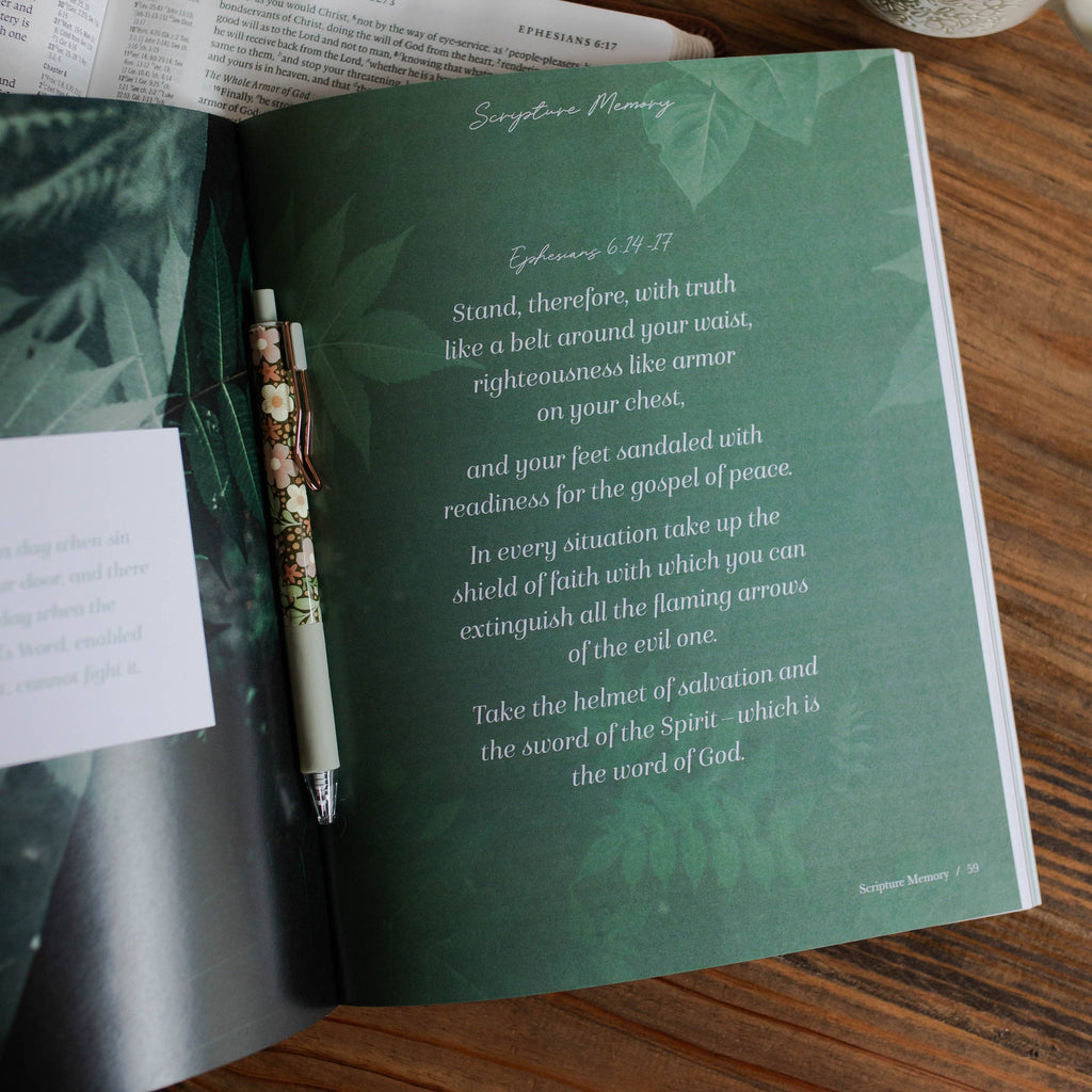 Stand Firm - Armor of God Study 