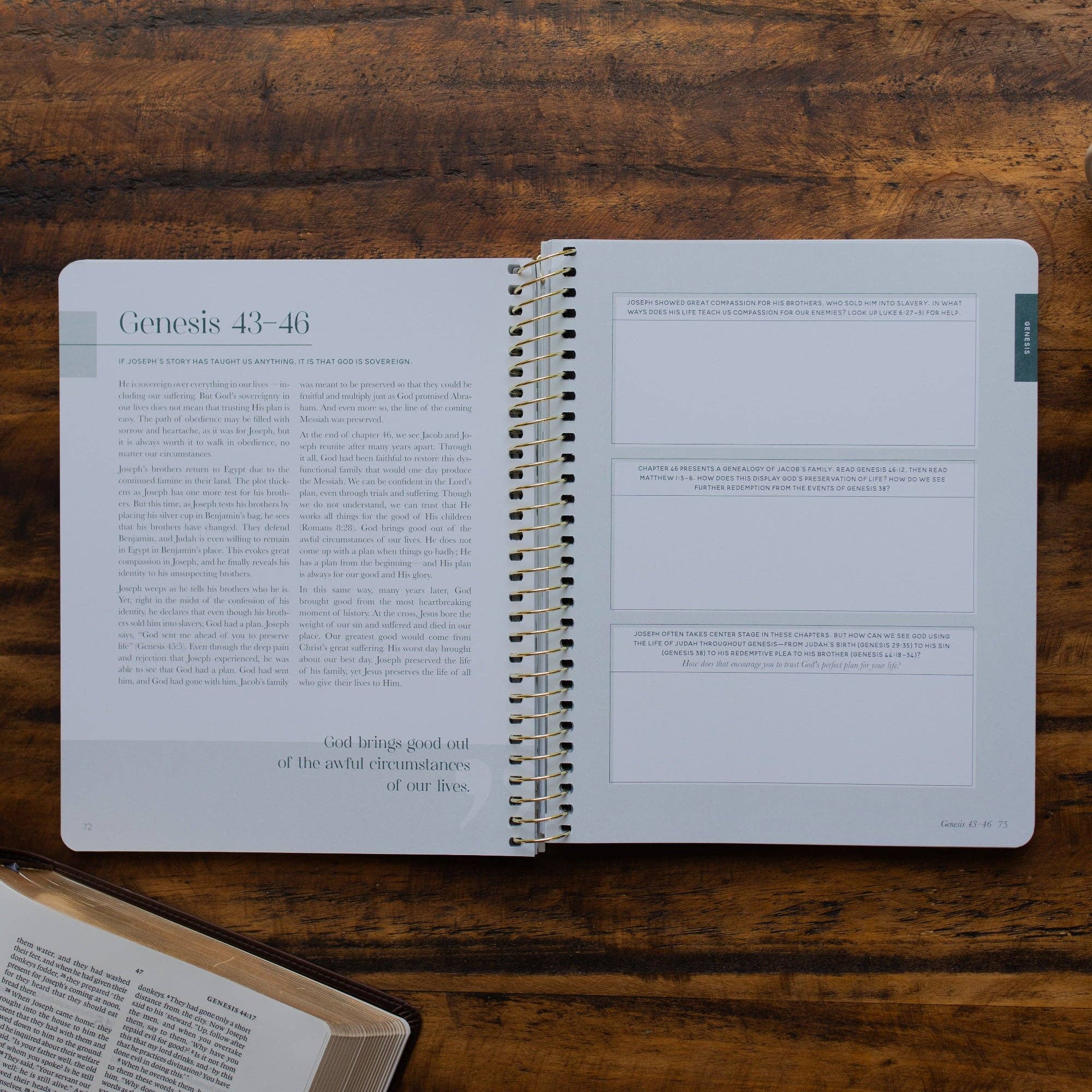 Eden to Eternity - Chronological Bible Study: Volume 1 (Spiral Bound)