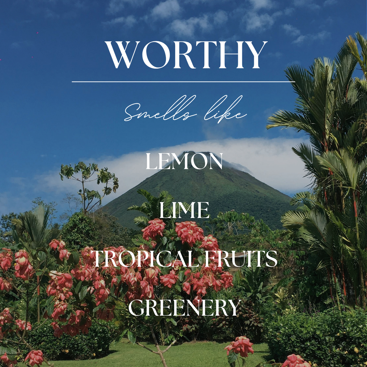 Worthy | Volcanic Island | 15 oz. Clear Jar Soy Candle