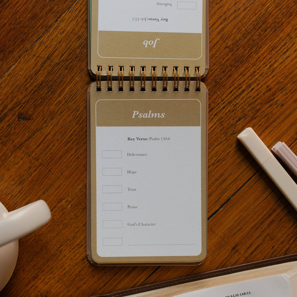 Highlighting Through Scripture Card Set