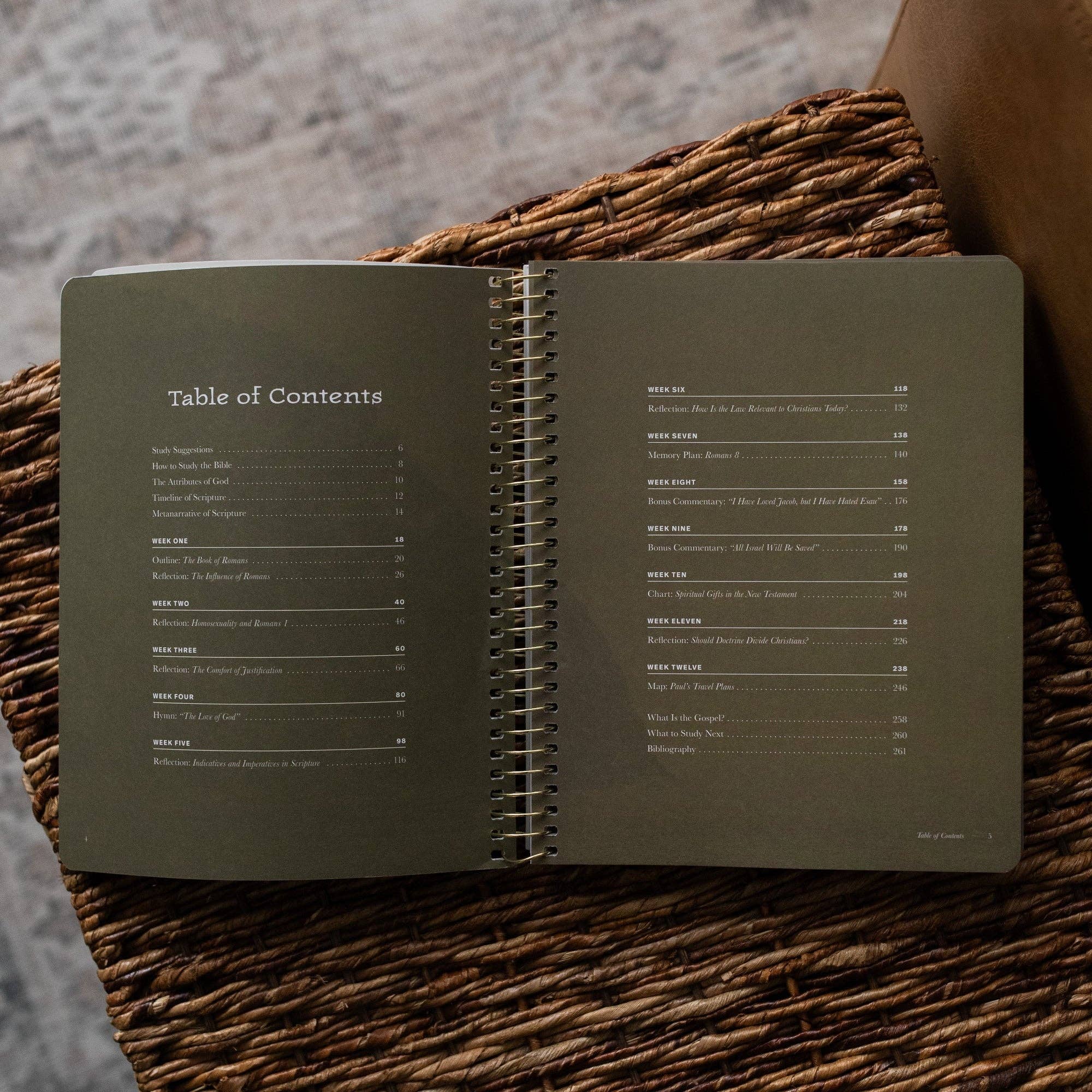 In Christ Alone: A Study on the Book of Romans - Men