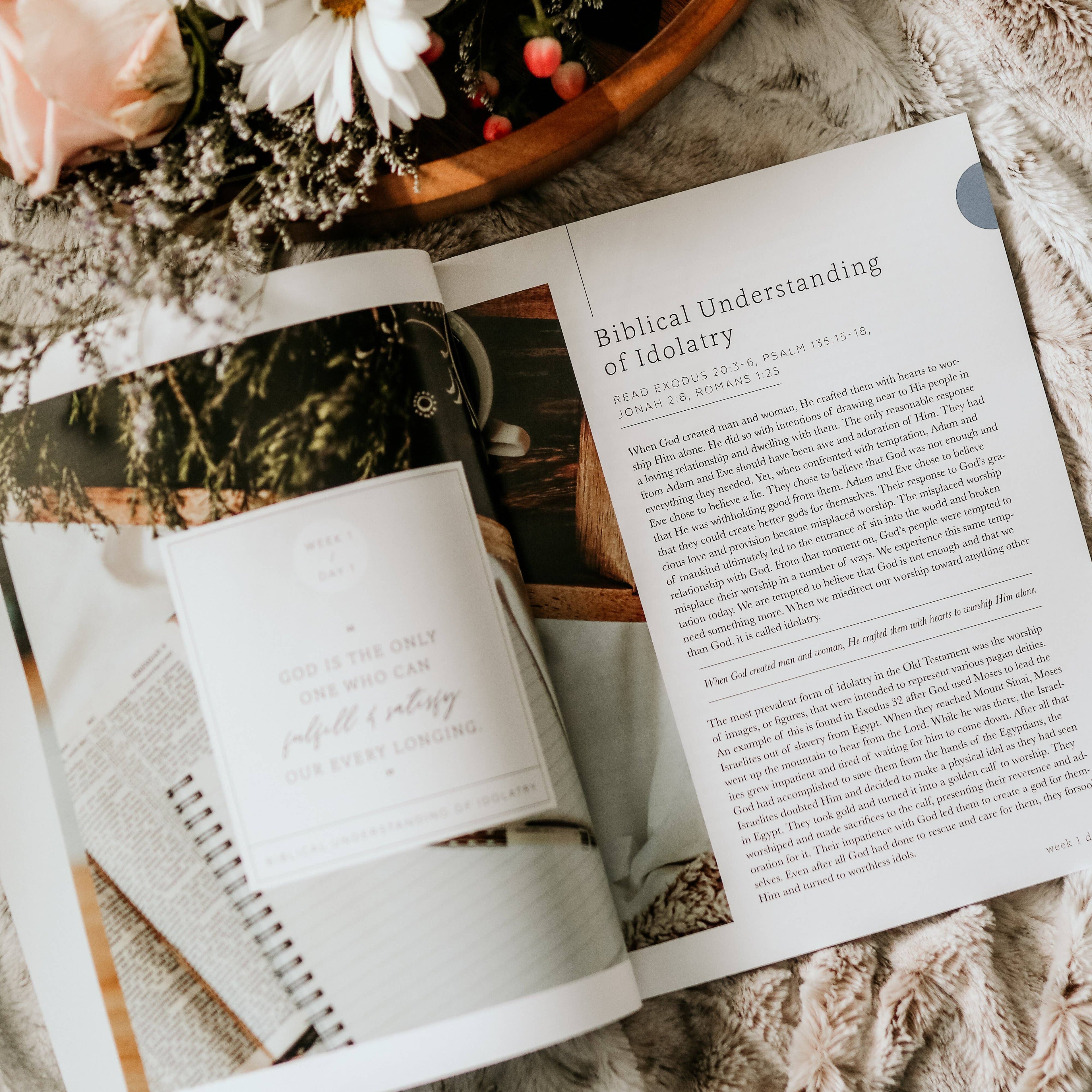 More Than Anything - Idolatry Study