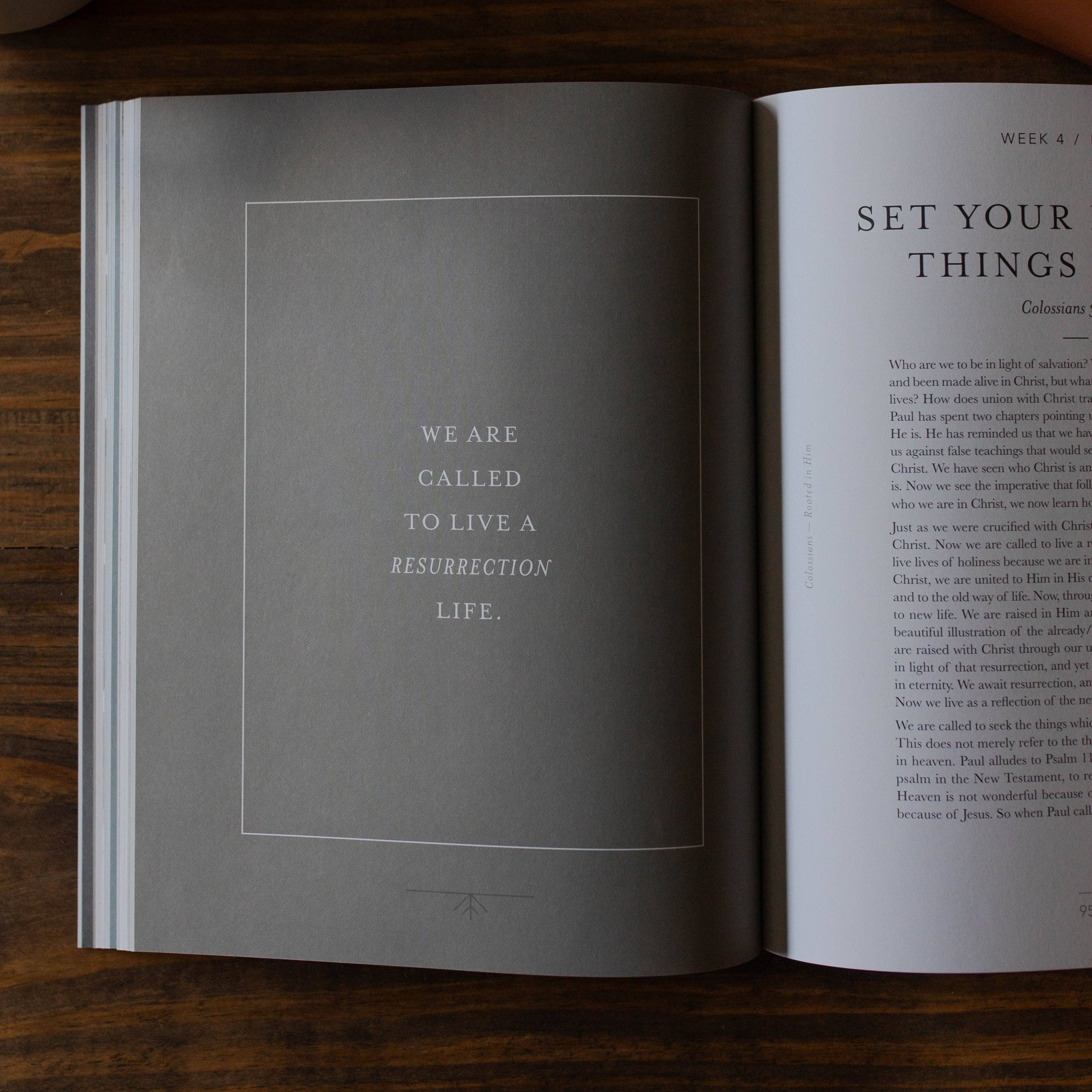 Colossians | Rooted in Him - Men’s Bible Study