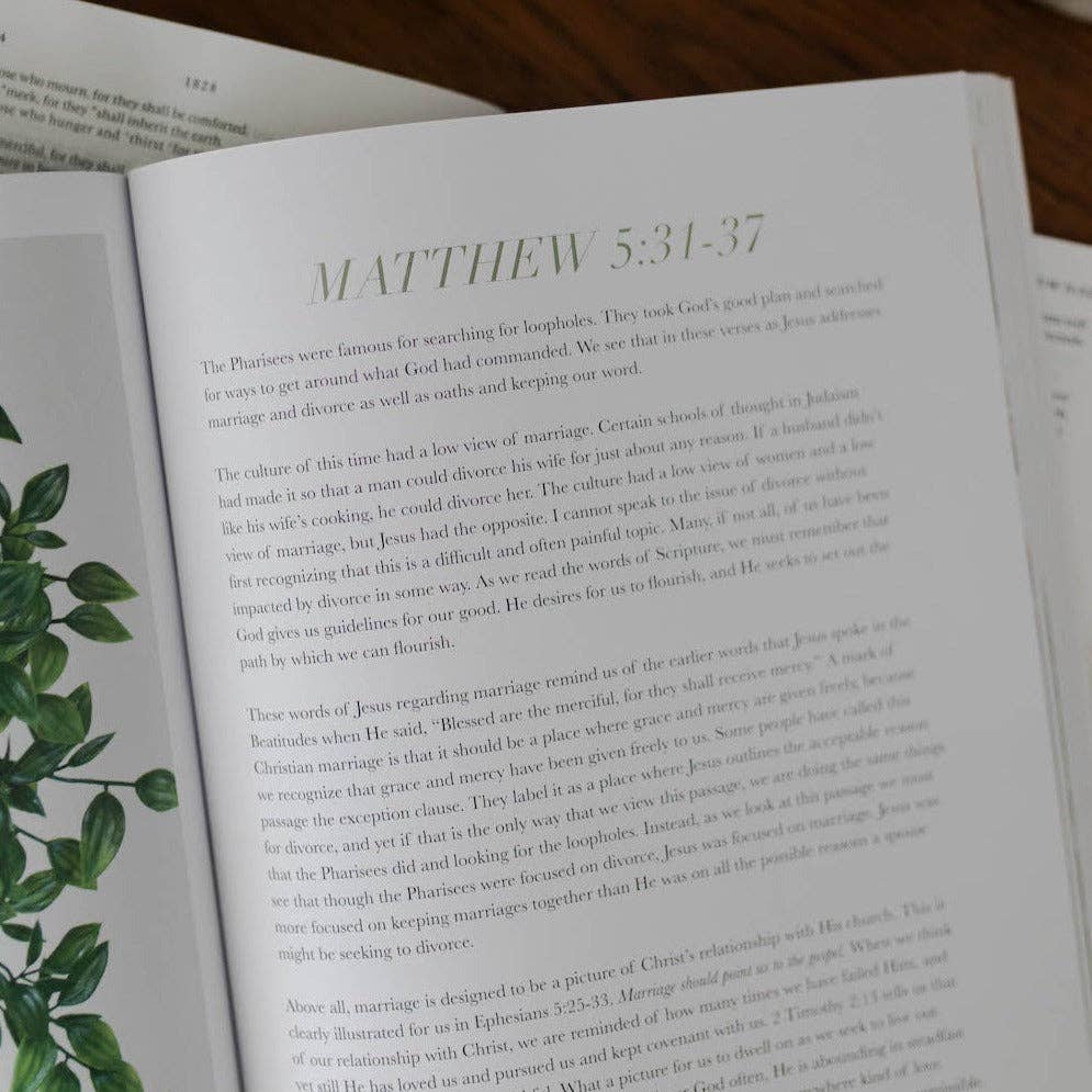 The Sermon on the Mount Bible Study