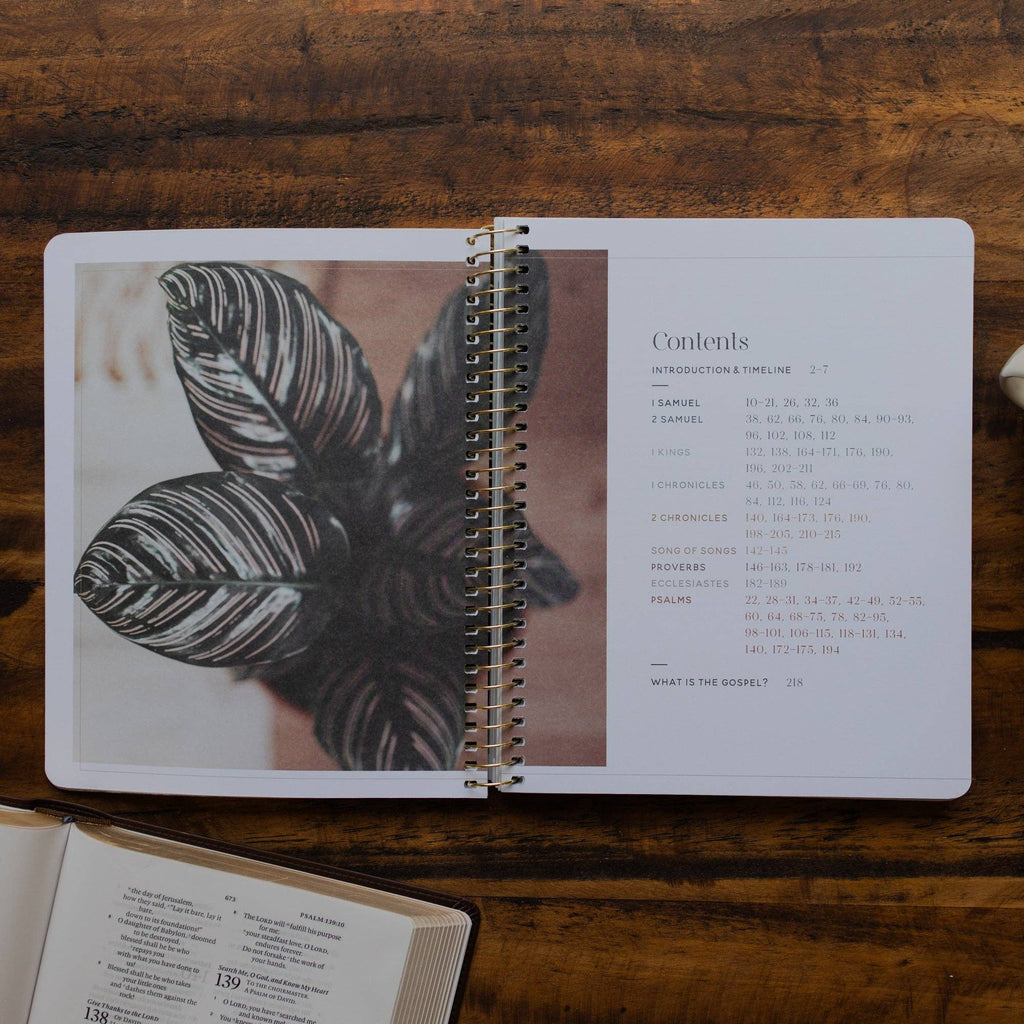 Eden to Eternity - Chronological Bible Study: Volume 2 (Spiral Bound) by