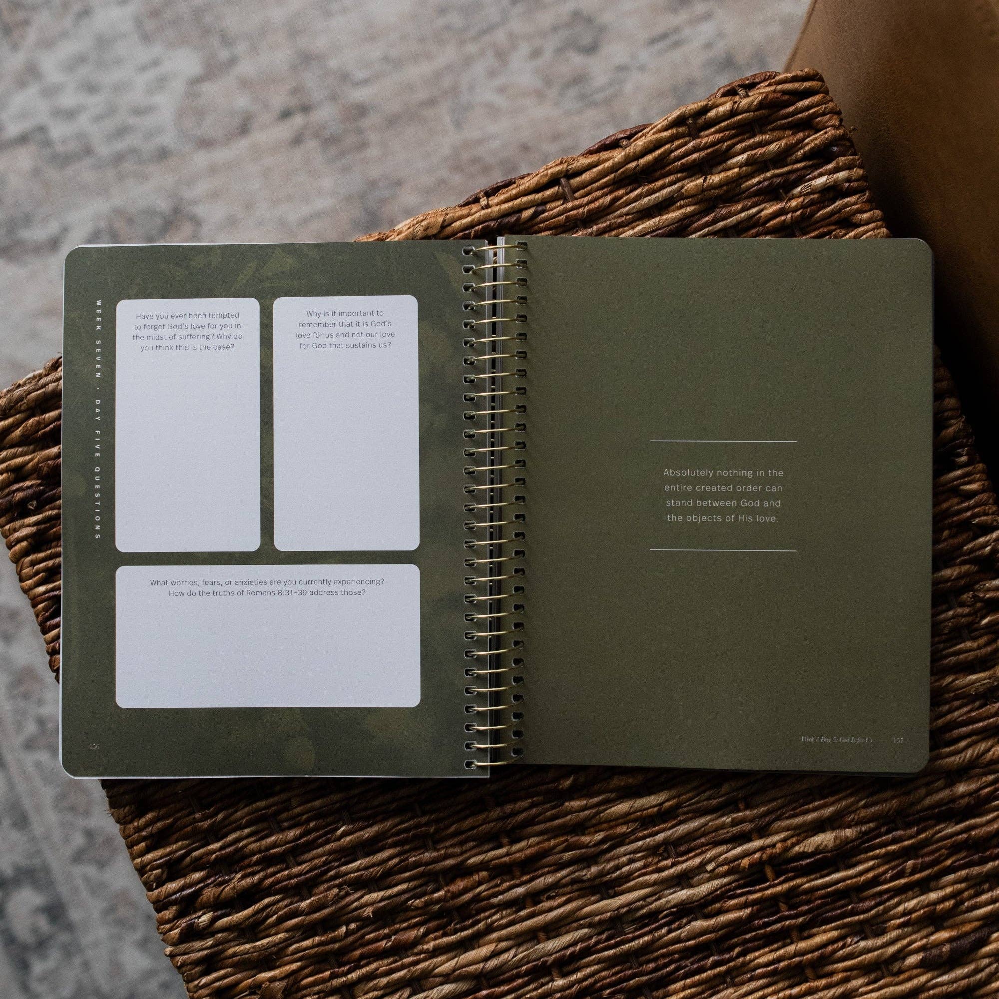 In Christ Alone: A Study on the Book of Romans - Men